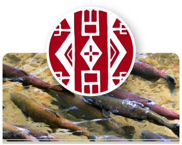 Tribal Services background image